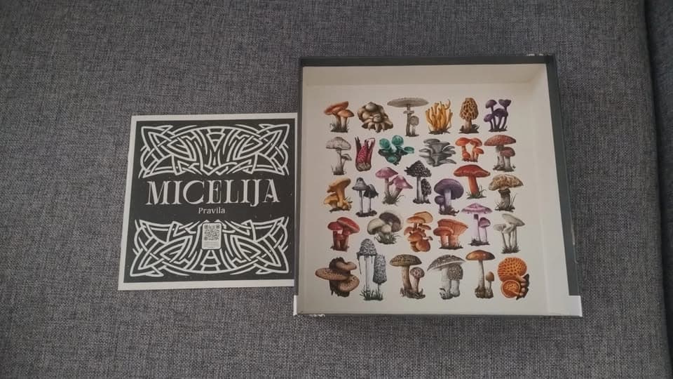 Micelija - thumbnail 4