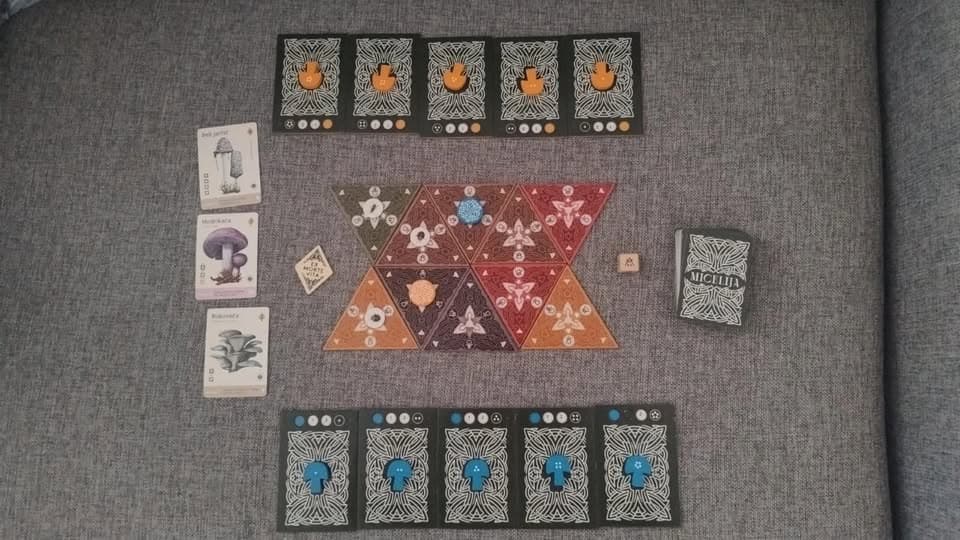 Micelija - thumbnail 2