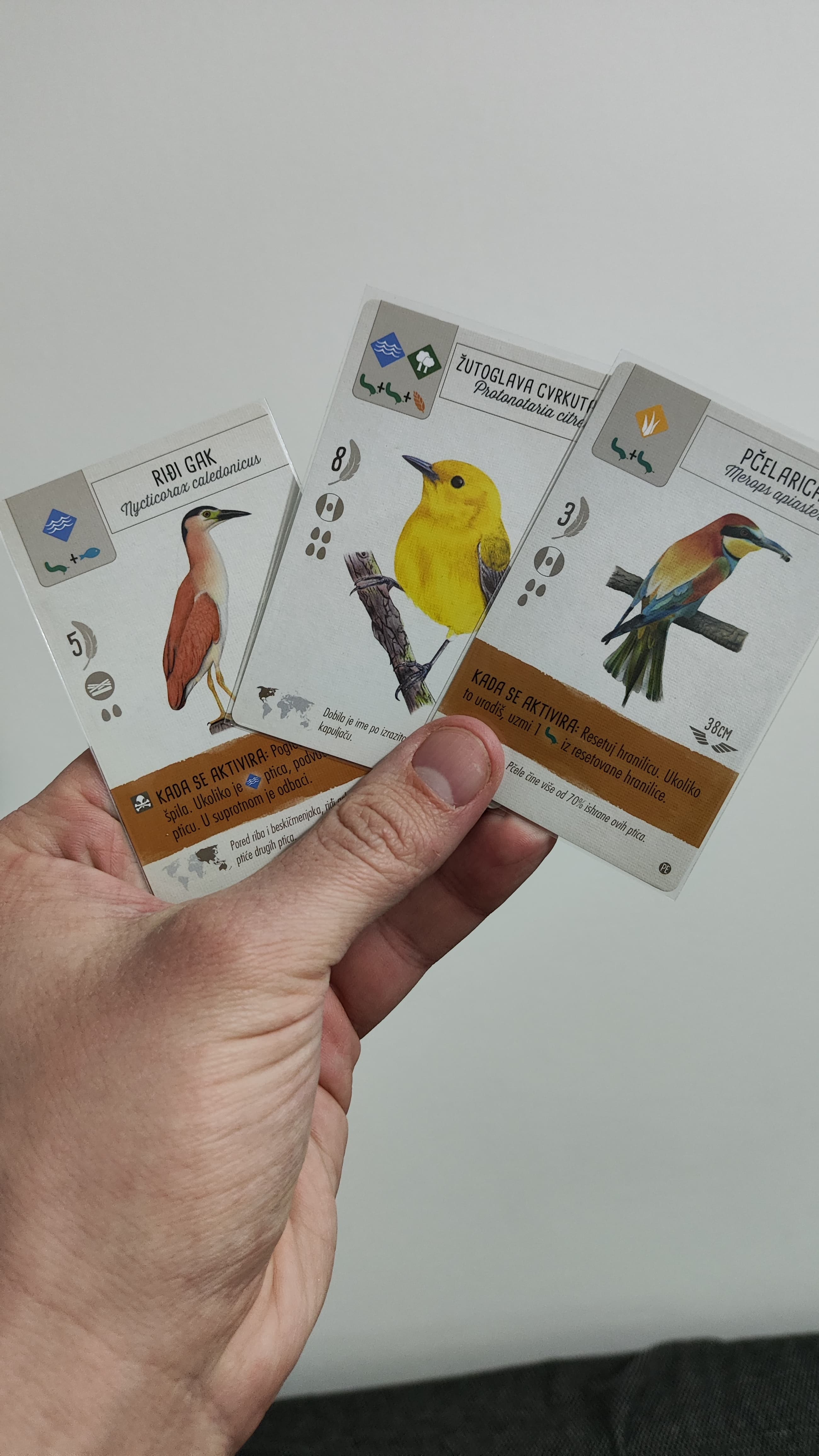 Wingspan SR + Ptice Evrope + Okeanija - thumbnail 2