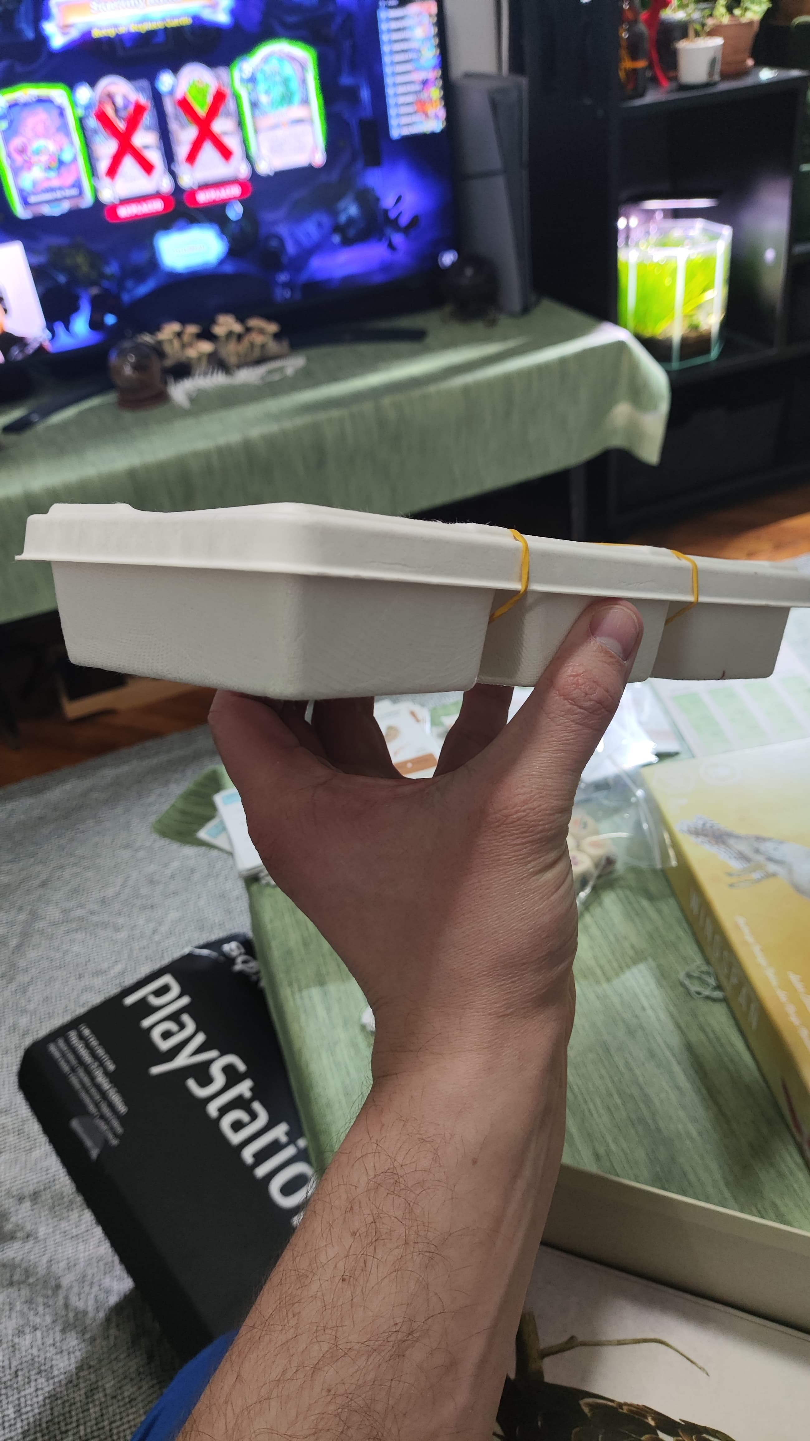 Wingspan na srpskom - thumbnail 4