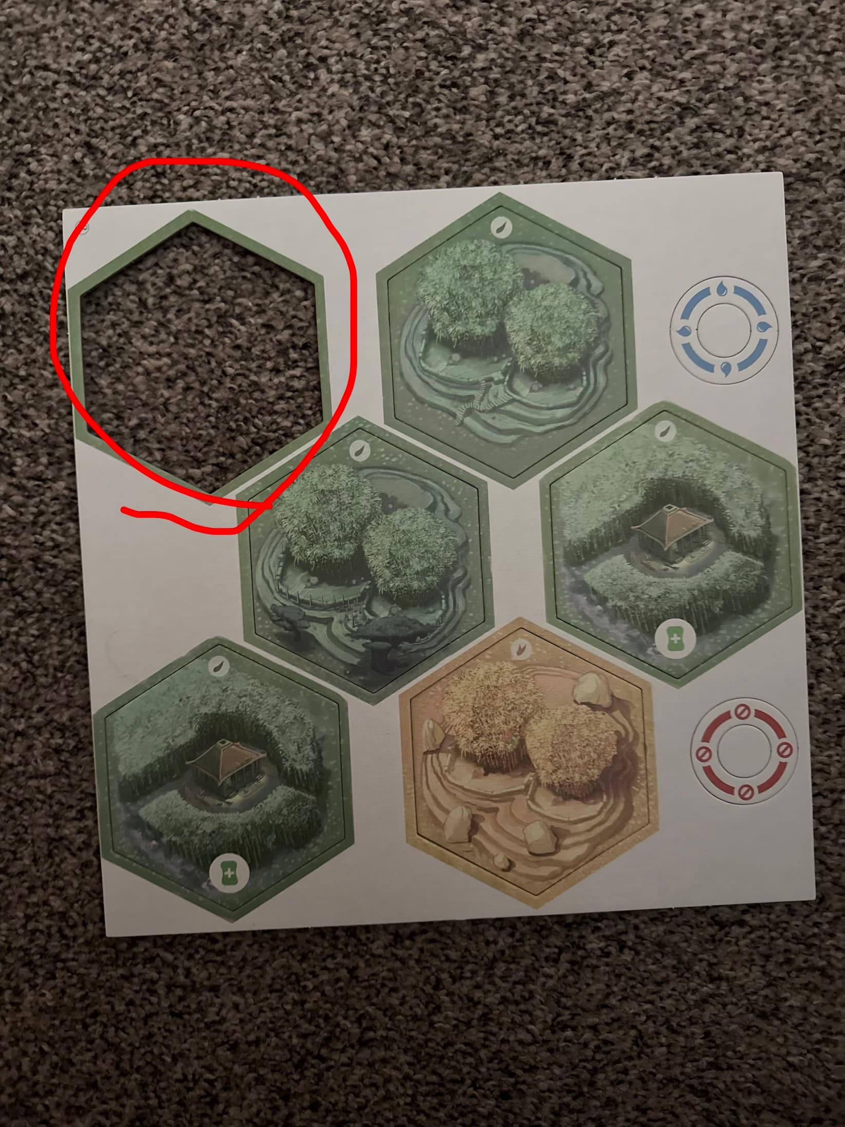 Takenoko - thumbnail 4