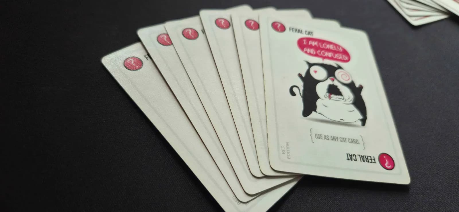 Exploding Kittens: Recipes for Disaster - thumbnail 4