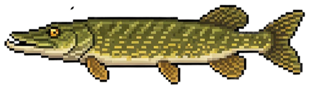 Štuka